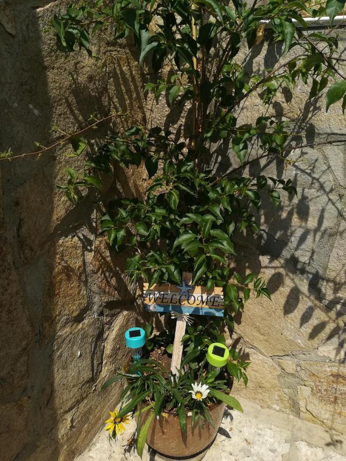 Guest House Olga Balcic Exterior foto
